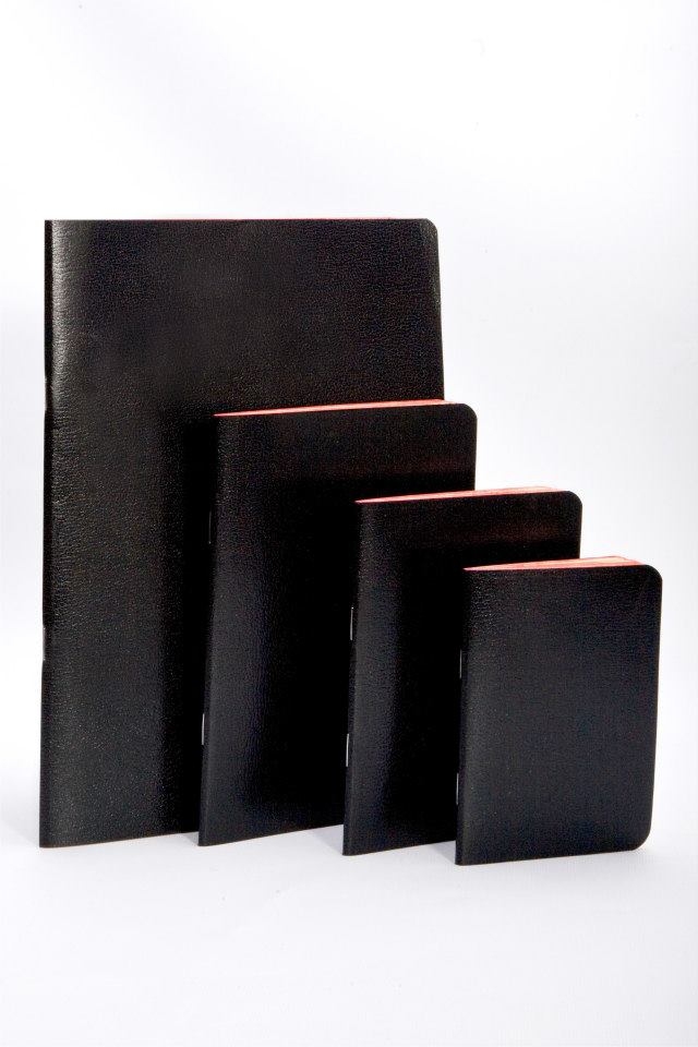 Quaderni pelle elefante